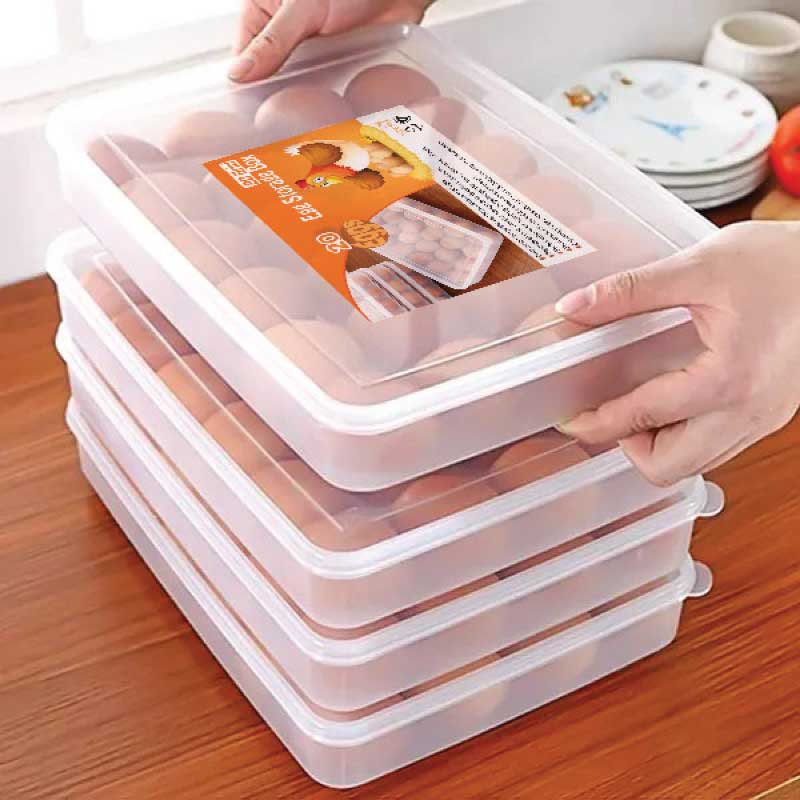 20 GRID EGG STORAG BOX