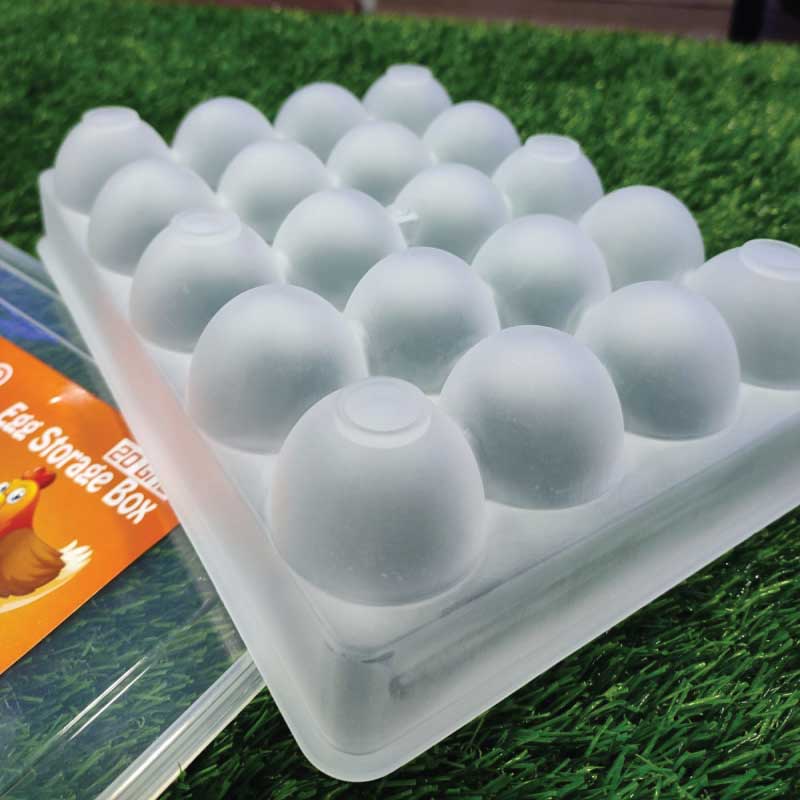 20 GRID EGG STORAG BOX